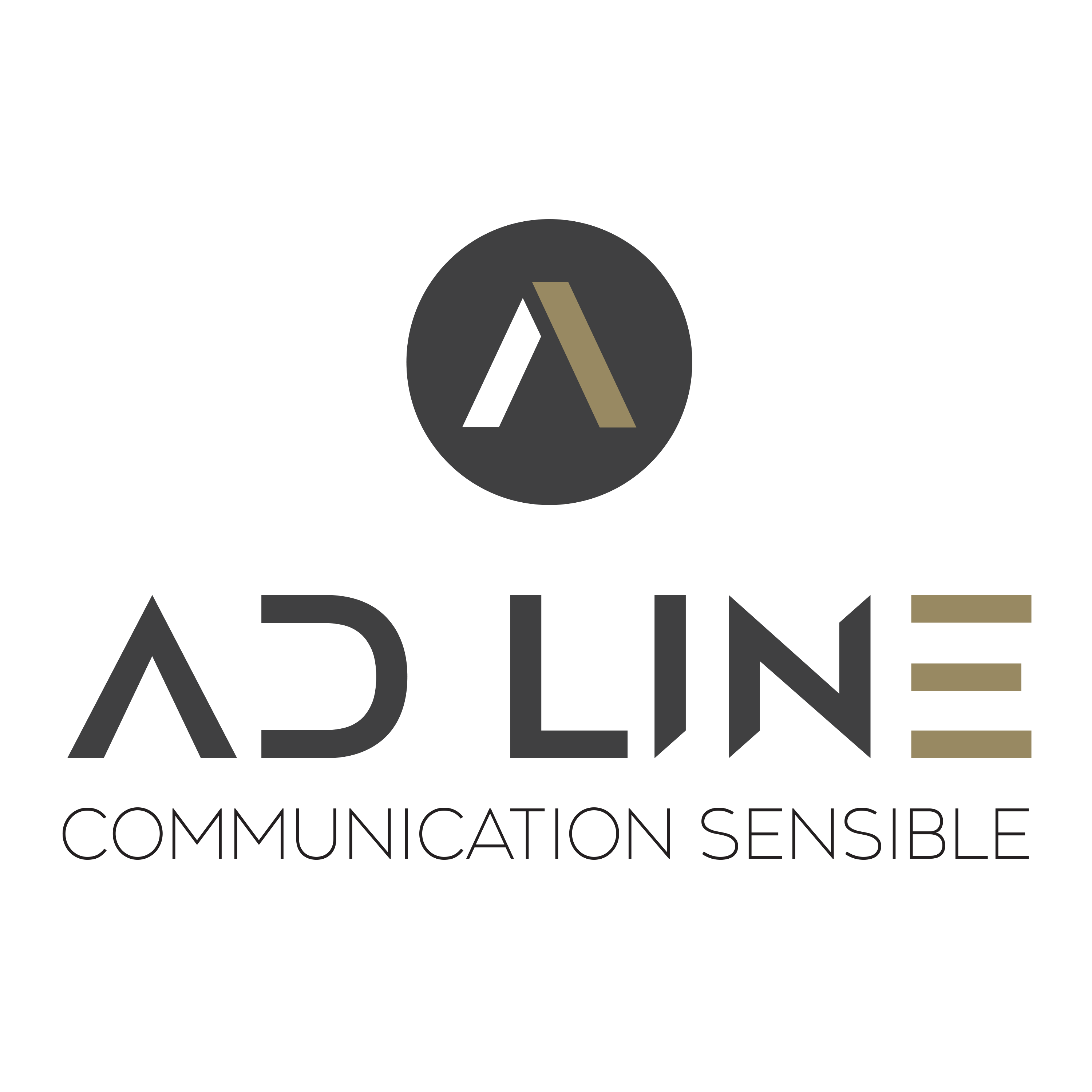 logo AD LINE Conseil Cabinet en Communication Sensible et de Crise Martinique Guadeloupe Guyane